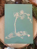 Last Laugh Prayer Cards - Dionysos Lysios and the Orchid