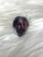 Pocket Bearded Aphrodite