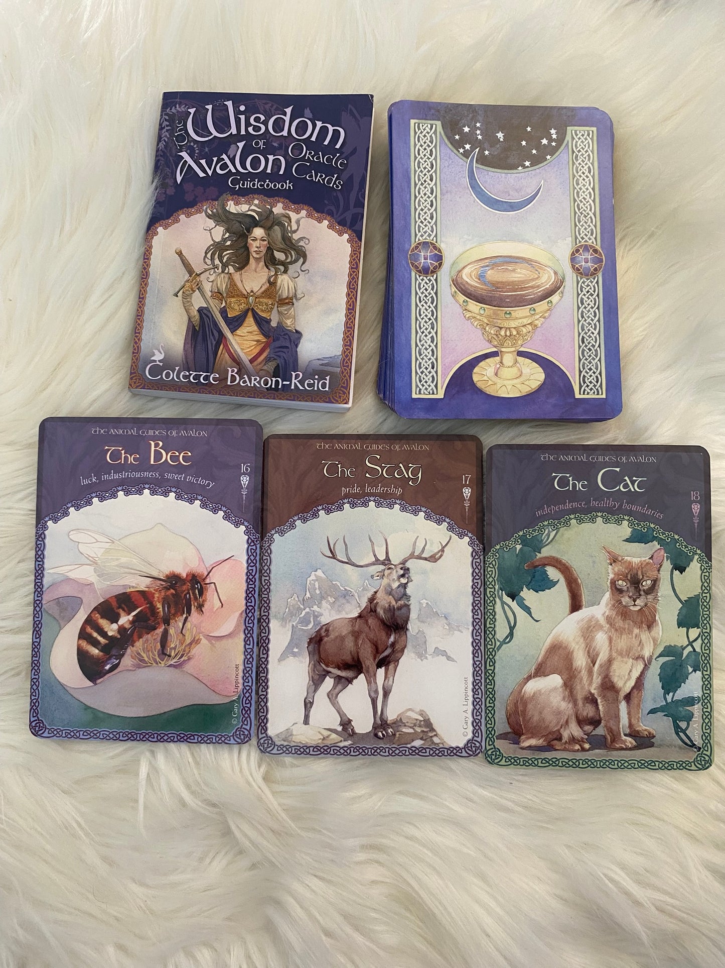 The Wisdom of Avalon Oracle Cards by Colette Baron-Reid and Gary A. Lippincott