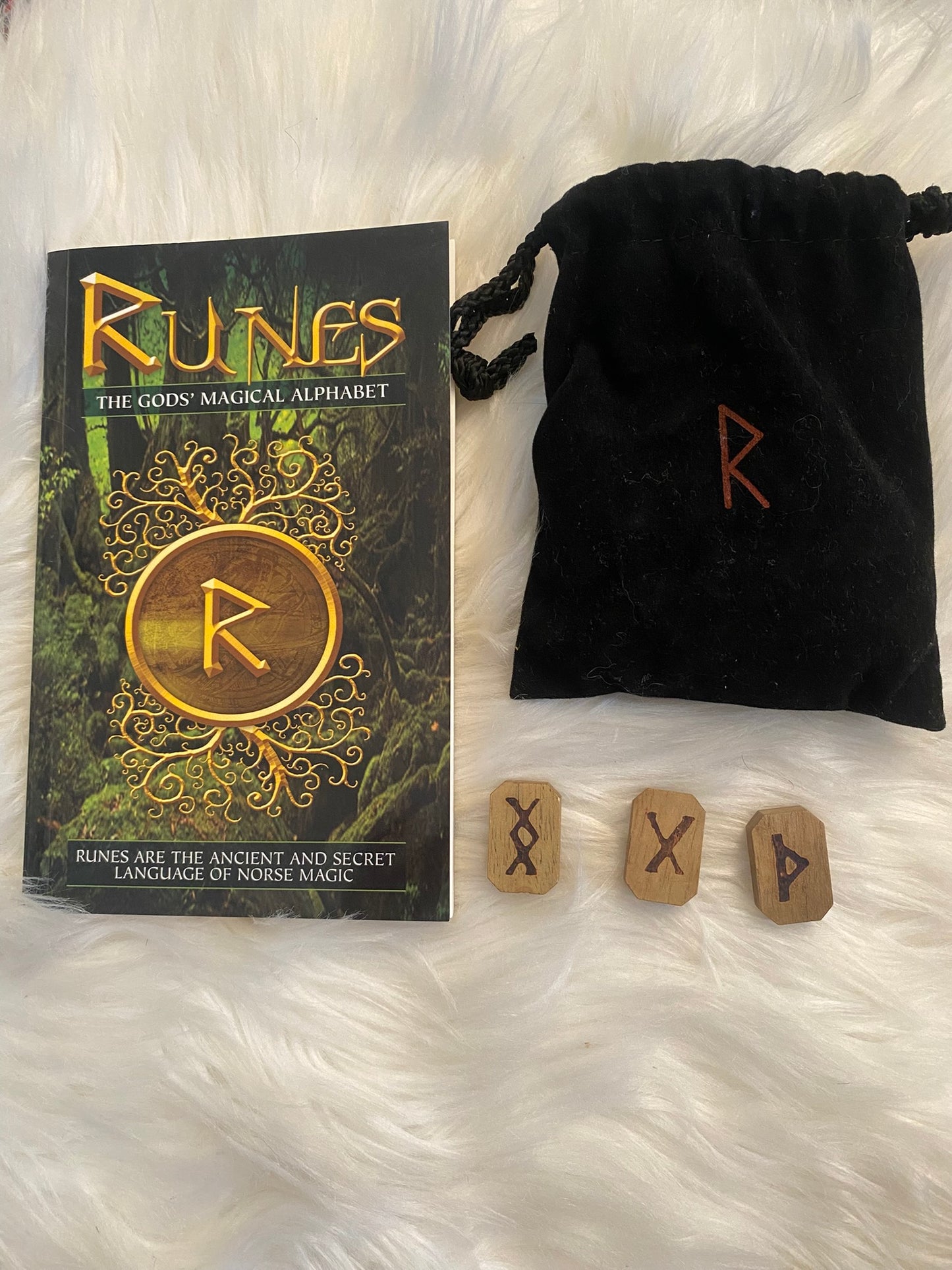 The Runes: The Gods' Magical Alphabet by Bianca Luna.